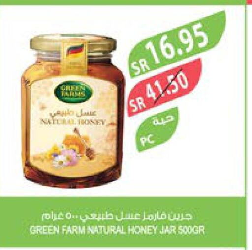  Honey  in Farm  in KSA, Saudi Arabia, Saudi - Jubail