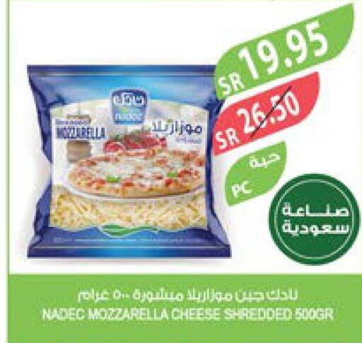 NADEC Mozzarella  in المزرعة in مملكة العربية السعودية, السعودية, سعودية - الأحساء‎