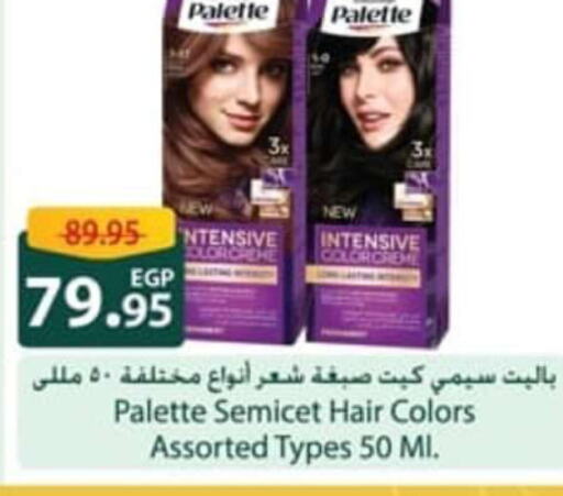 PALETTE Hair Colour  in سبينس in Egypt - القاهرة