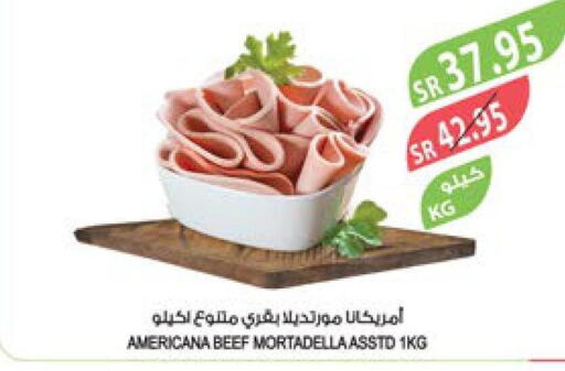 AMERICANA Beef  in Farm  in KSA, Saudi Arabia, Saudi - Al Bahah