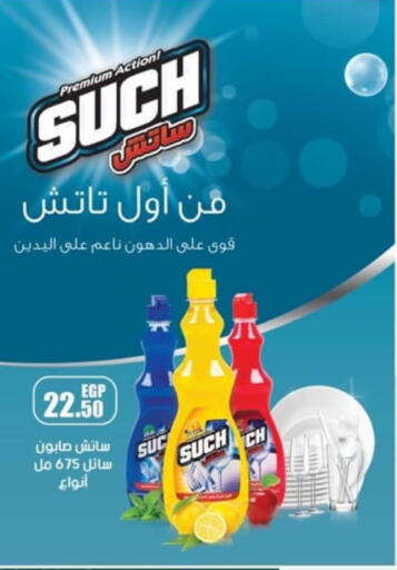  Cleaning Aid  in Spinneys  in Egypt - Cairo