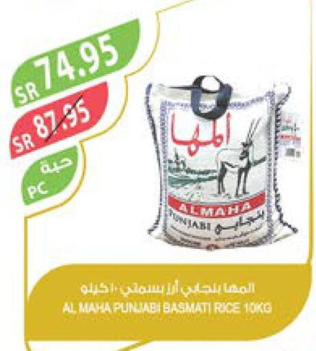  Basmati / Biryani Rice  in Farm  in KSA, Saudi Arabia, Saudi - Qatif