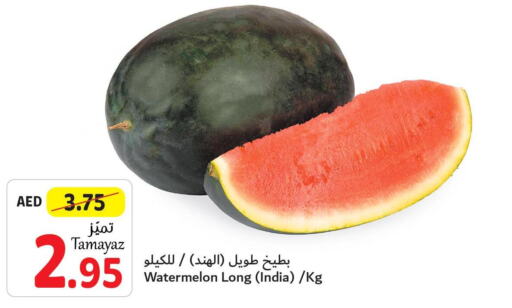 Watermelon  in تعاونية الاتحاد in الإمارات العربية المتحدة , الامارات - دبي
