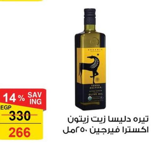  Olive Oil  in فتح الله in Egypt - القاهرة