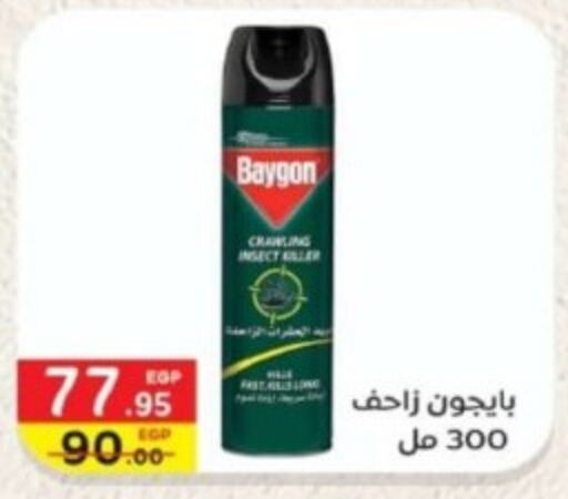 BAYGON   in Bashayer hypermarket in Egypt - Cairo