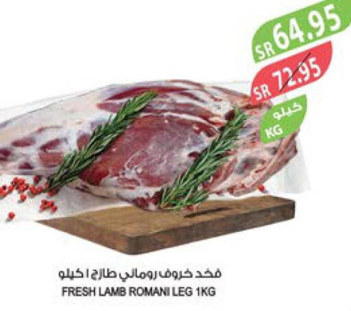  Mutton / Lamb  in المزرعة in مملكة العربية السعودية, السعودية, سعودية - أبها