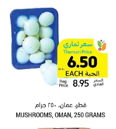  Mushroom  in Tamimi Market in KSA, Saudi Arabia, Saudi - Buraidah