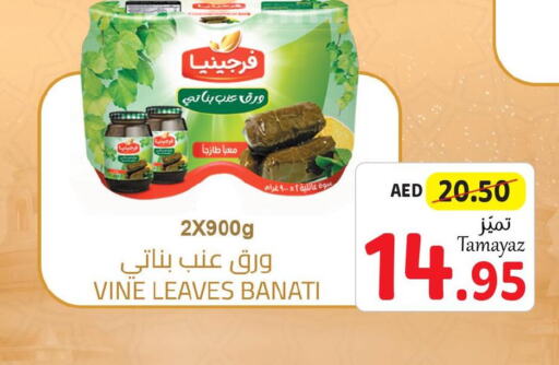  Fava Beans  in تعاونية الاتحاد in الإمارات العربية المتحدة , الامارات - أبو ظبي
