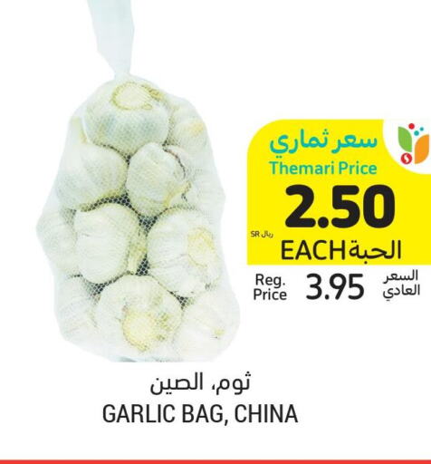  Garlic  in Tamimi Market in KSA, Saudi Arabia, Saudi - Riyadh