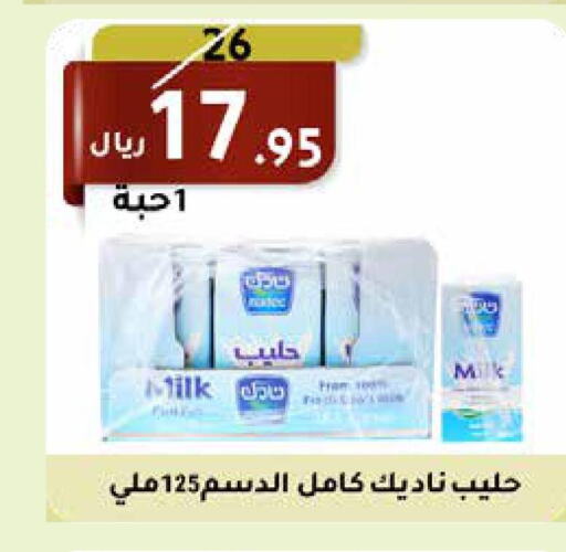 NADA Protein Milk  in Saudi Market in KSA, Saudi Arabia, Saudi - Mecca