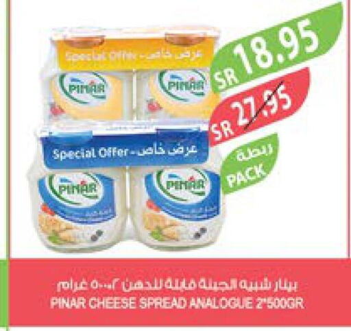PINAR Analogue Cream  in Farm  in KSA, Saudi Arabia, Saudi - Jeddah