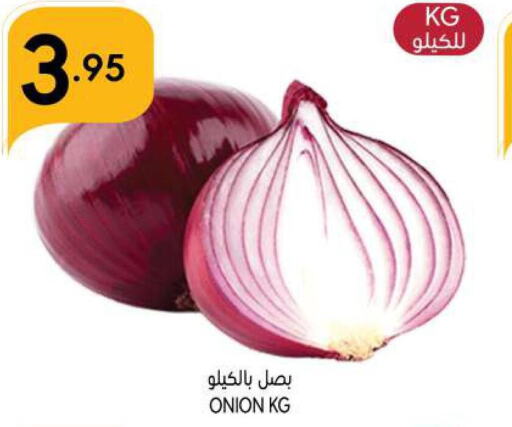  Onion  in Manuel Market in KSA, Saudi Arabia, Saudi - Riyadh