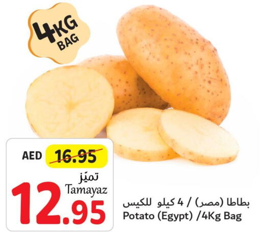  Potato  in تعاونية الاتحاد in الإمارات العربية المتحدة , الامارات - الشارقة / عجمان