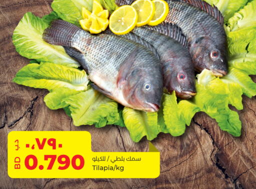  King Fish  in LuLu Hypermarket in Bahrain