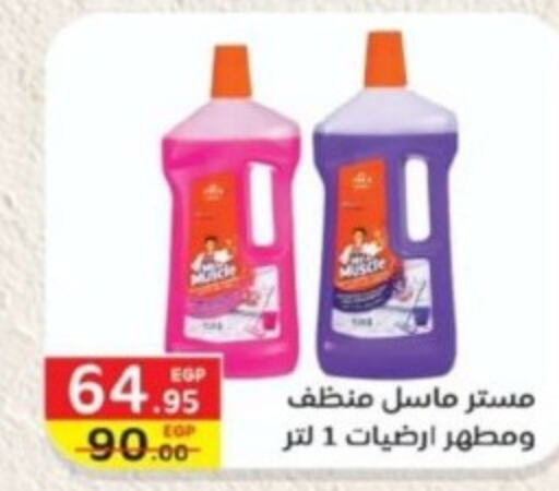 MR. MUSCLE General Cleaner  in Bashayer hypermarket in Egypt - Cairo