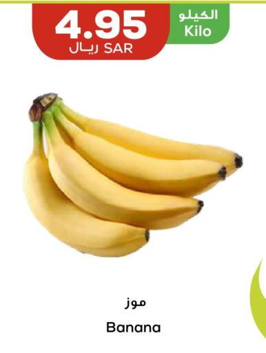  Banana  in أسواق أسترا in مملكة العربية السعودية, السعودية, سعودية - تبوك