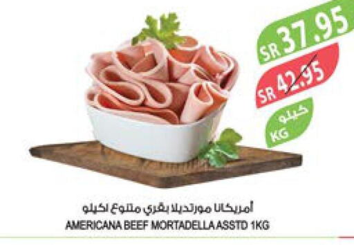 AMERICANA Beef  in Farm  in KSA, Saudi Arabia, Saudi - Riyadh