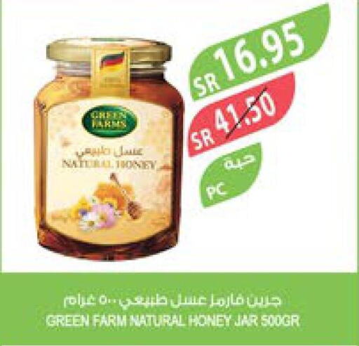  Honey  in Farm  in KSA, Saudi Arabia, Saudi - Tabuk