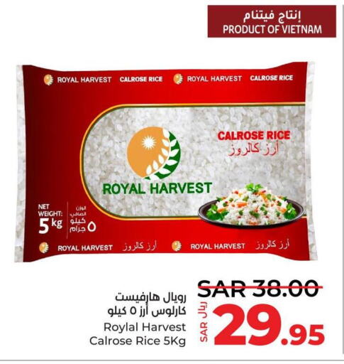  Egyptian / Calrose Rice  in لولو هايبرماركت in مملكة العربية السعودية, السعودية, سعودية - جدة