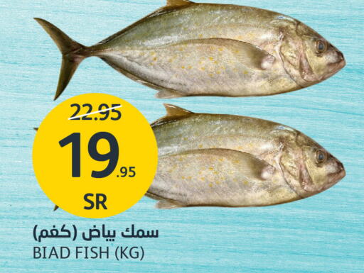  King Fish  in AlJazera Shopping Center in KSA, Saudi Arabia, Saudi - Riyadh