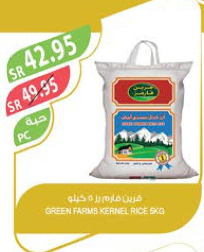  Sella / Mazza Rice  in Farm  in KSA, Saudi Arabia, Saudi - Tabuk