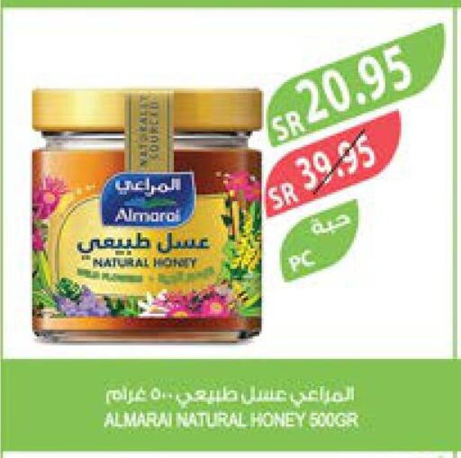 ALMARAI Honey  in Farm  in KSA, Saudi Arabia, Saudi - Sakaka