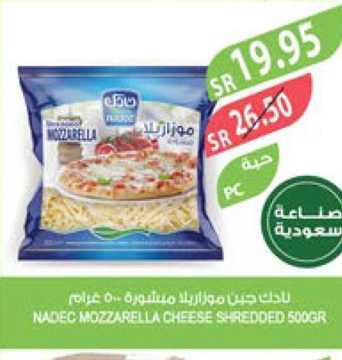 NADEC Mozzarella  in Farm  in KSA, Saudi Arabia, Saudi - Yanbu