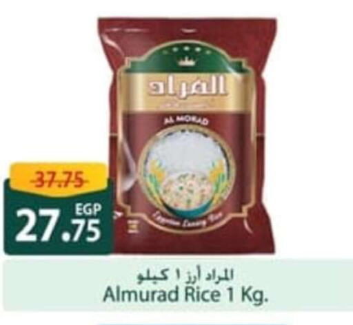  Egyptian / Calrose Rice  in سبينس in Egypt - القاهرة