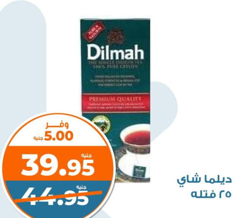 DILMAH Tea Powder  in Kazyon  in Egypt - Cairo