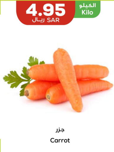  Carrot  in أسواق أسترا in مملكة العربية السعودية, السعودية, سعودية - تبوك