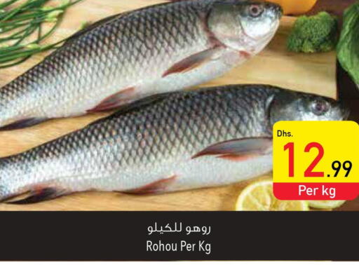  King Fish  in Safeer Hyper Markets in UAE - Ras al Khaimah