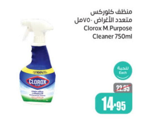 CLOROX General Cleaner  in Othaim Markets in KSA, Saudi Arabia, Saudi - Rafha