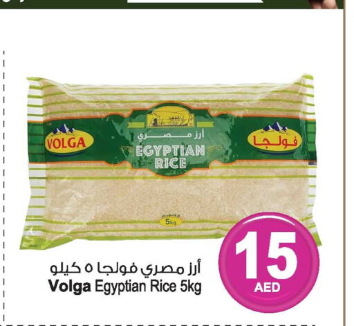 VOLGA Egyptian / Calrose Rice  in أنصار جاليري in الإمارات العربية المتحدة , الامارات - دبي
