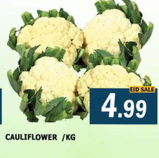  Cauliflower  in أزهر المدينة هايبرماركت in الإمارات العربية المتحدة , الامارات - الشارقة / عجمان