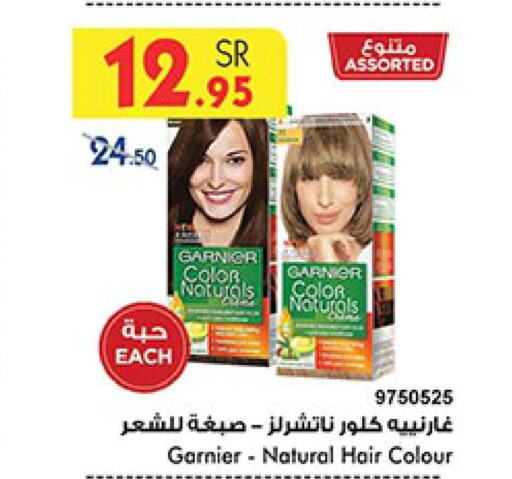GARNIER Hair Colour  in Bin Dawood in KSA, Saudi Arabia, Saudi - Medina