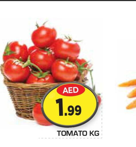  Tomato  in فريش سبايك مارت in الإمارات العربية المتحدة , الامارات - أبو ظبي