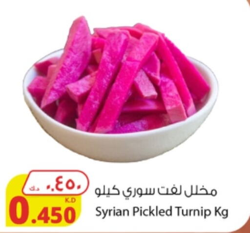  Pickle  in شركة المنتجات الزراعية الغذائية in الكويت - محافظة الجهراء