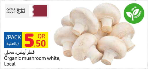  Mushroom  in Carrefour in Qatar - Al Shamal