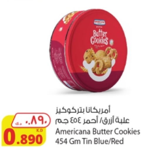 AMERICANA Chicken Strips  in Agricultural Food Products Co. in Kuwait - Jahra Governorate