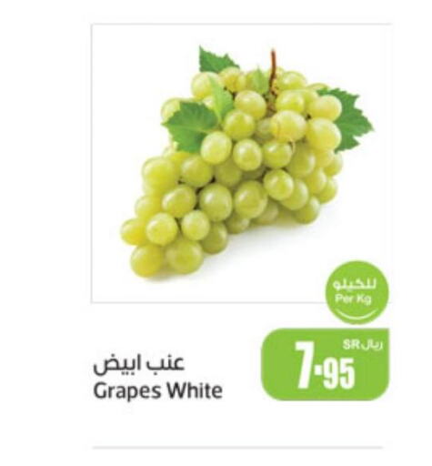  Grapes  in Othaim Markets in KSA, Saudi Arabia, Saudi - Jubail