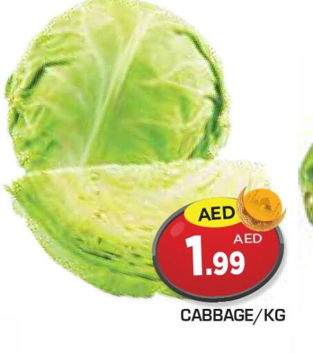  Cabbage  in Baniyas Spike  in UAE - Fujairah