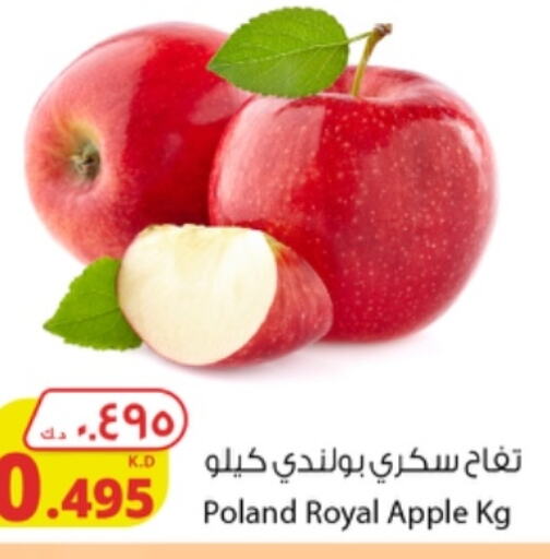  Apples  in Agricultural Food Products Co. in Kuwait - Jahra Governorate