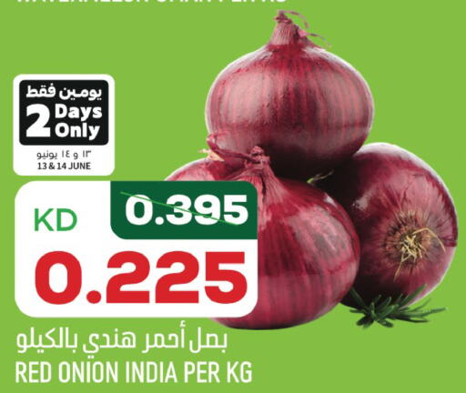  Onion  in Oncost in Kuwait