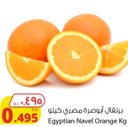 Orange  in شركة المنتجات الزراعية الغذائية in الكويت - محافظة الأحمدي