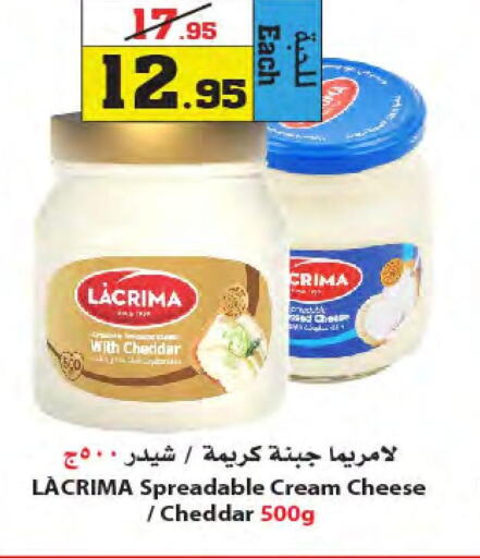  Cheddar Cheese  in Star Markets in KSA, Saudi Arabia, Saudi - Yanbu