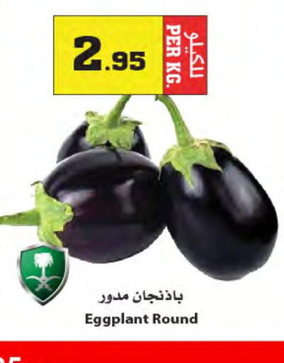  Cabbage  in أسواق النجمة in مملكة العربية السعودية, السعودية, سعودية - ينبع