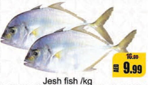  King Fish  in ليبتس هايبرماركت in الإمارات العربية المتحدة , الامارات - رَأْس ٱلْخَيْمَة
