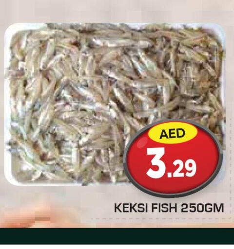  King Fish  in سنابل بني ياس in الإمارات العربية المتحدة , الامارات - رَأْس ٱلْخَيْمَة