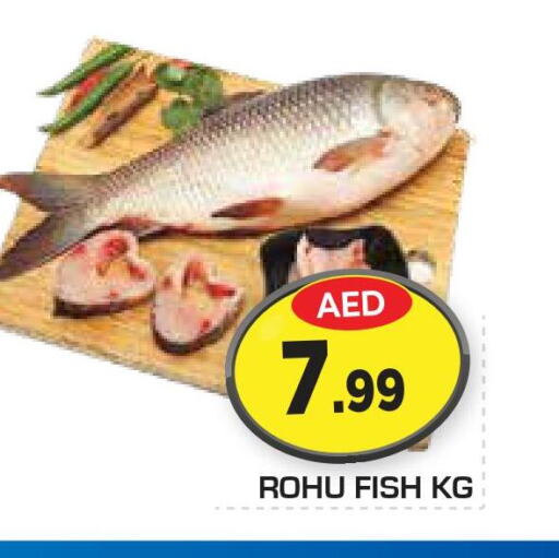  King Fish  in Fresh Spike Mart in UAE - Abu Dhabi
