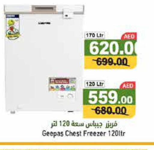 GEEPAS Freezer  in أسواق رامز in الإمارات العربية المتحدة , الامارات - أبو ظبي